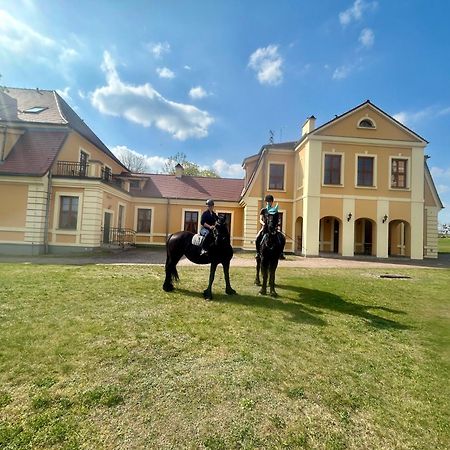 Palac W Rymaniu Экстерьер фото